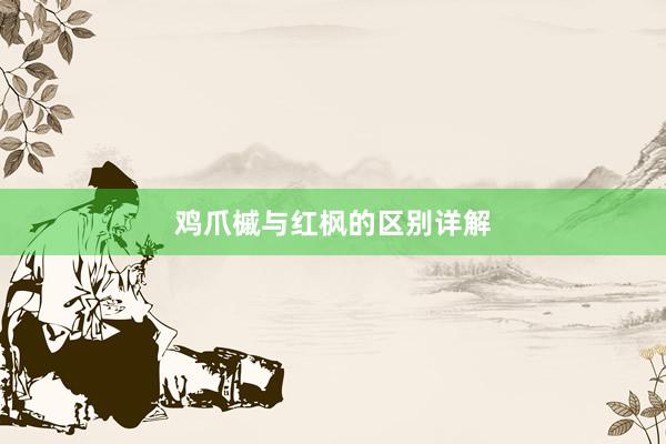 鸡爪槭与红枫的区别详解