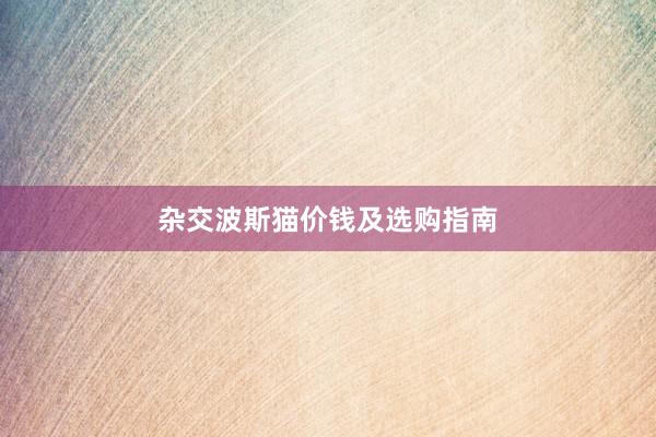 杂交波斯猫价钱及选购指南